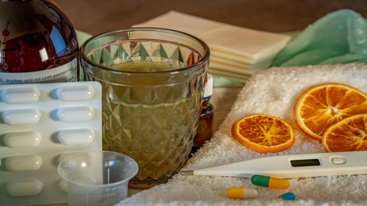 Parazit Enfeksiyonları Belirtileri ve Evde Tedavi Yöntemleri