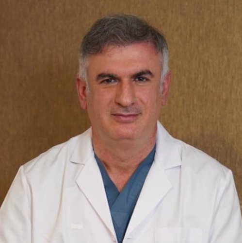 Mehmet Şerif Arslan
