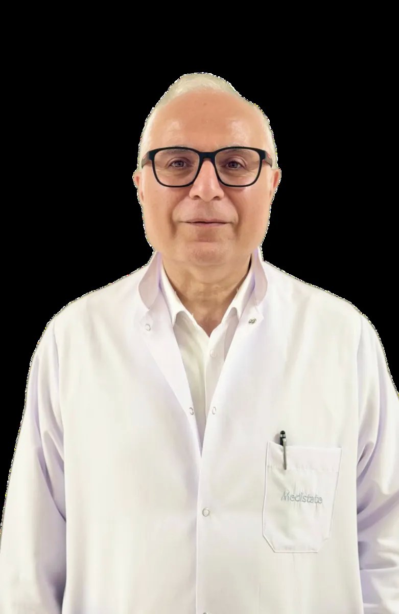 A. Levent Alpay