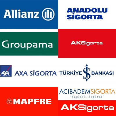 Prof. Dr. V. Nusret Özdemir