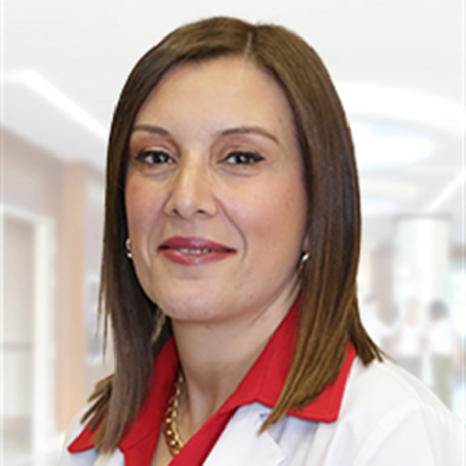 Dr. Öğr. Üyesi Öğr. Üyesi Didem Er