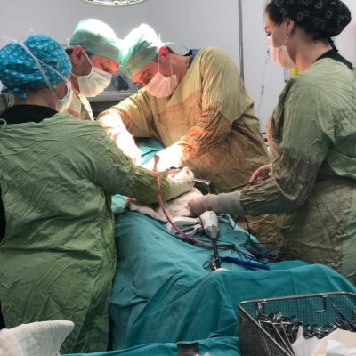 Op. Dr. Ömer Fatih Çelik