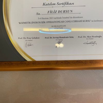 Uzm. Dr. - Filiz Çeçen - Üreme Endokrinolojisi Ve İnfertilite - Sakarya