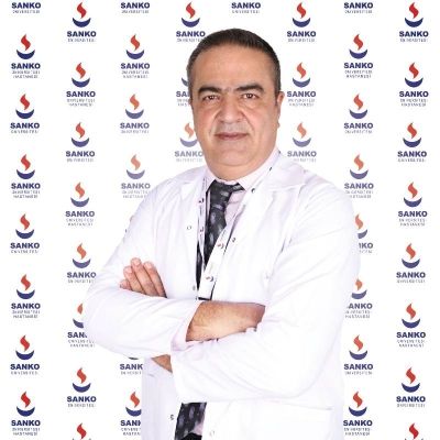 Prof. Dr. Bülent Meşe