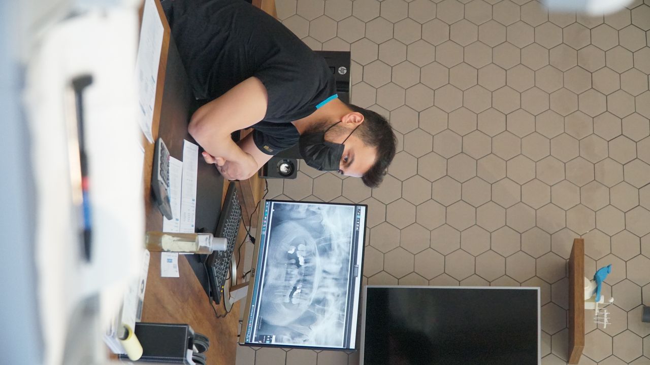 Dt. Mustafa Besli - Diş Hekimi