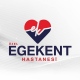 H. Ali Bülent Çelik