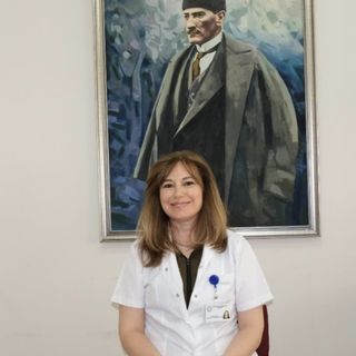 Prof. Dr. Alev Alp