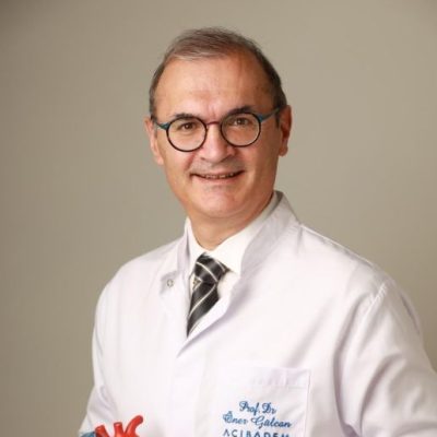 Prof. Dr. Öner Gülcan