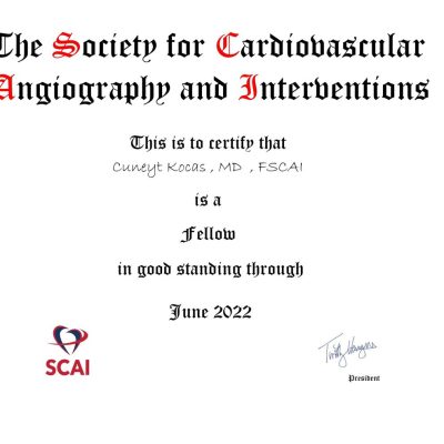 Prof. Dr. Cüneyt Koçaş - Kardiyoloji - İstanbul