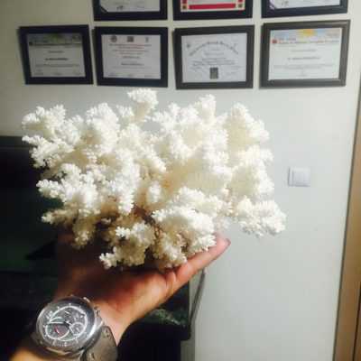 Op. Dr. Bülent Erenoğlu