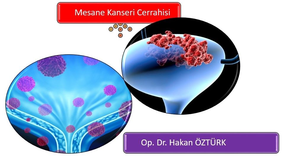 Prof. Dr. Hakan Öztürk