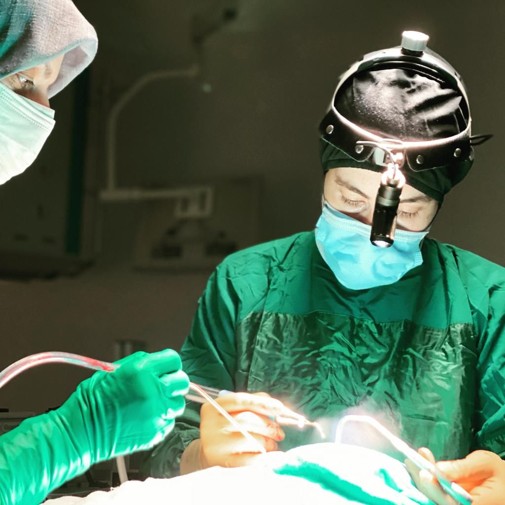 Op. Dr. Sena Genç Elden