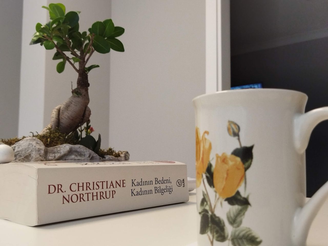 Op. Dr. Mehmet Pehlivan