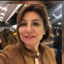 Prof. Dr. Vesile Altınyazar