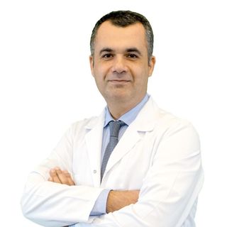Doç. Dr. Mesut Gül
