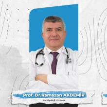 Prof. Dr. Ramazan Akdemir