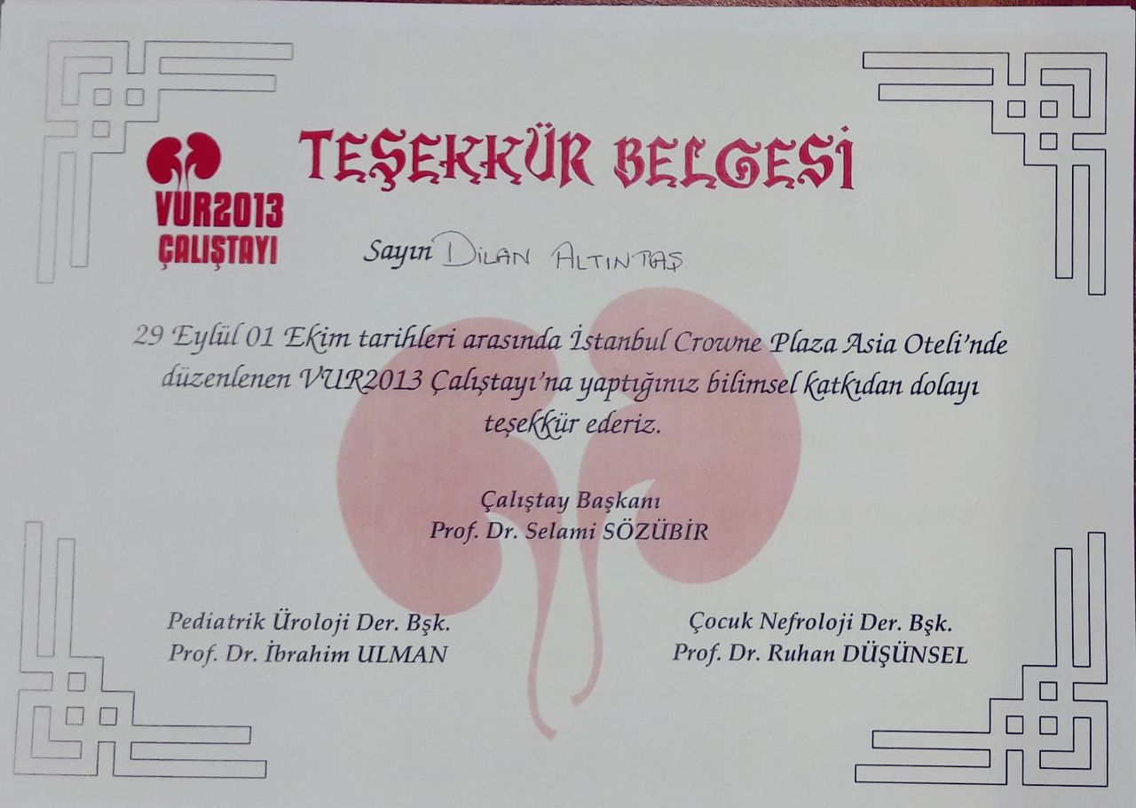Dr. Öğr. Üyesi Dilan Altıntaş Ural